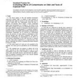 ASTM E1810-96