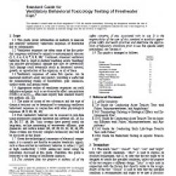 ASTM E1768-95