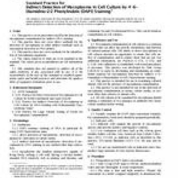ASTM E1533-93