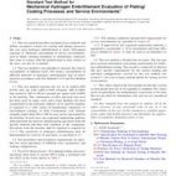 ASTM F519-12a