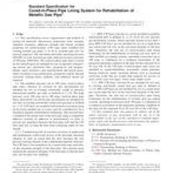 ASTM F2207-06