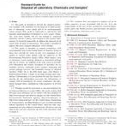 ASTM D4447-06