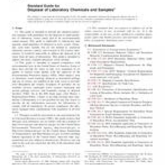 ASTM D4447-06