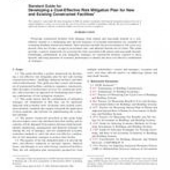 ASTM E2506-06