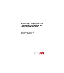 API RP 17N