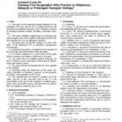 ASTM F1655-95