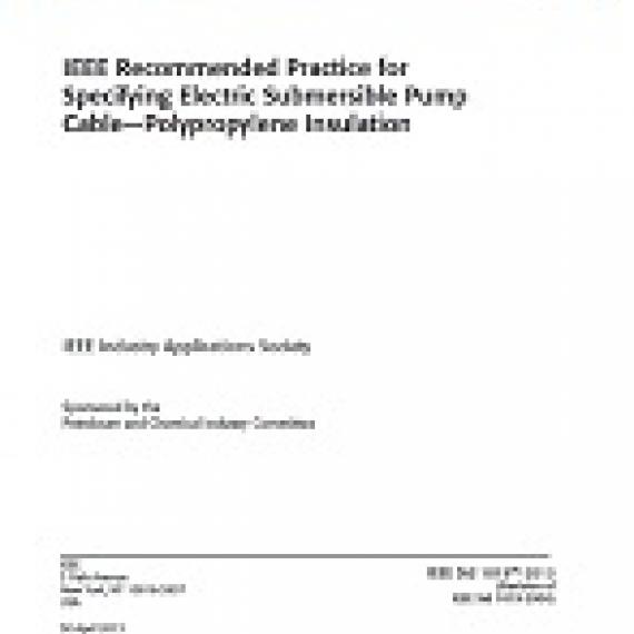 IEEE 1019-2013