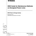 IEEE 516-2009