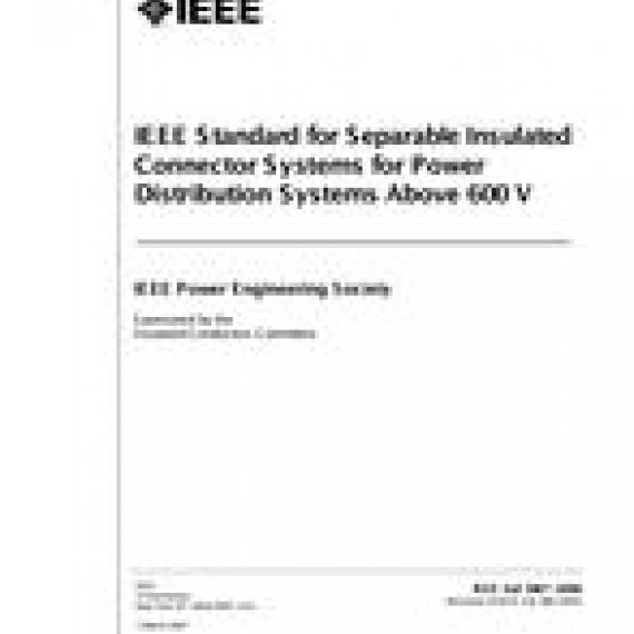IEEE 386-2006