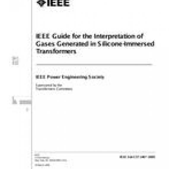 IEEE C57.146-2006