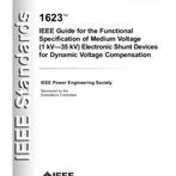 IEEE 1623-2004