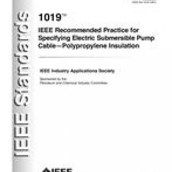 IEEE 1019-2004