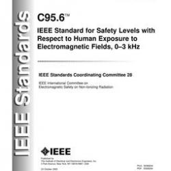 IEEE C95.6-2002