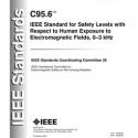 IEEE C95.6-2002