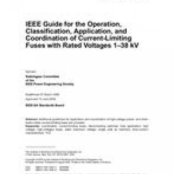 IEEE C37.48.1-2002