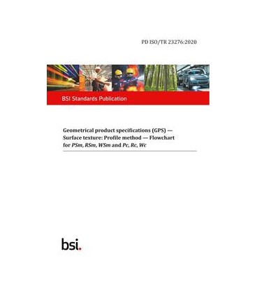 BS PD ISO/TR 23276:2020