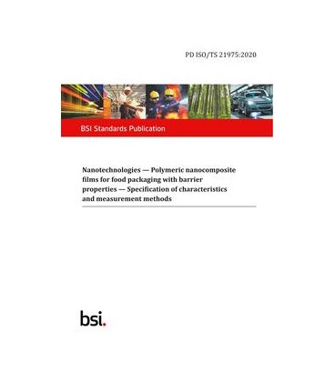 BS PD ISO/TS 21975:2020