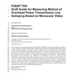 IEEE P2828