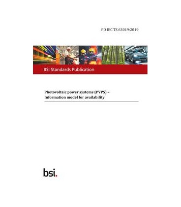 BS PD IEC TS 63019:2019