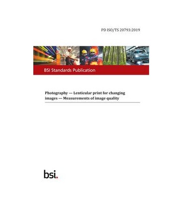 BS PD ISO/TS 20793:2019