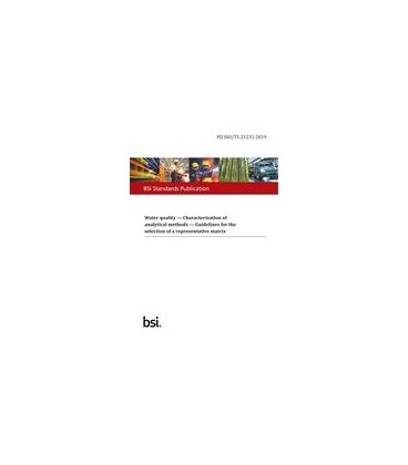 BS PD ISO/TS 21231:2019