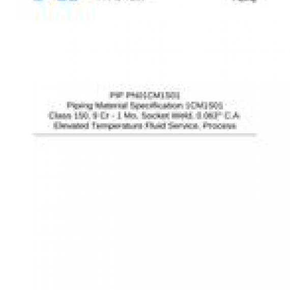 PIP PN01CM1S01