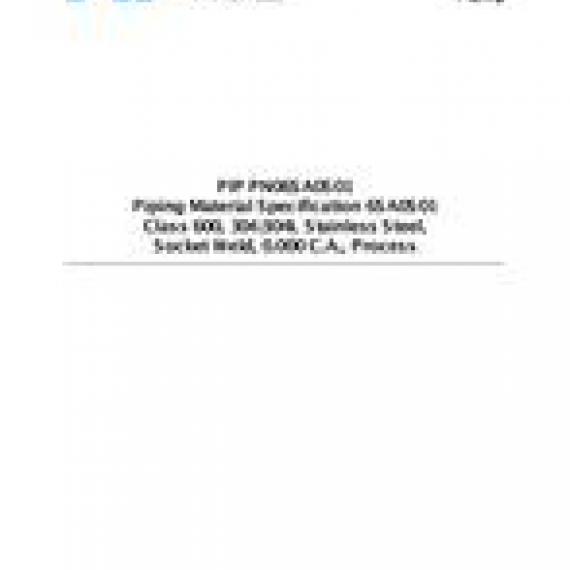PIP PN06SA0S01