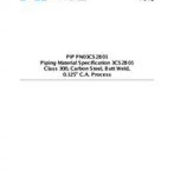 PIP PN03CS2B01