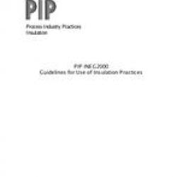 PIP INEG2000