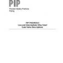 PIP PNSMV013