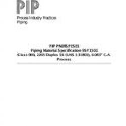 PIP PN09SP1S01