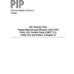 PIP PN12CS1T01