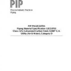 PIP PN12CG0T01