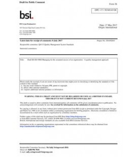 BS ISO/DIS 9004.1:2017