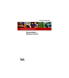 BS PD CEN/TS 16981:2016