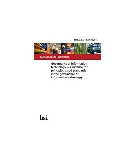 BS PD ISO/IEC TR 38504:2016