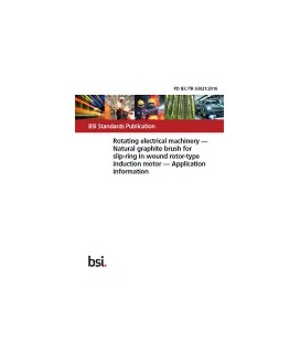 BS PD IEC/TR 63021:2016