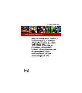 BS PD ISO/TS 19006:2016