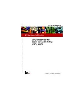 BS PD CEN/TR 16824:2015
