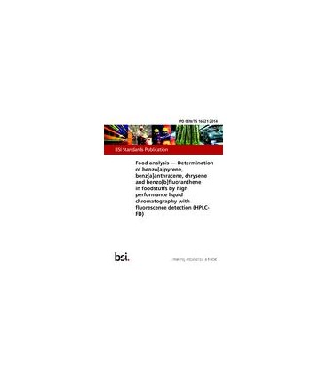 BS PD CEN/TS 16621:2014