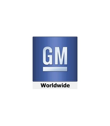 GMW3241 (G)