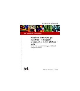BS PD CEN ISO/TR 19905-2:2013
