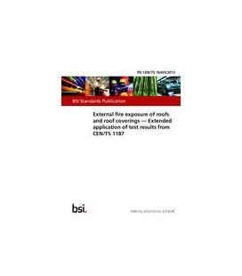 BS PD CEN/TS 16459:2013