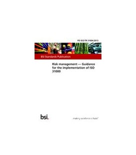 BS PD ISO/TR 31004:2013
