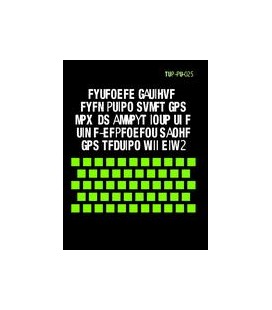 ASME STP-PT-025