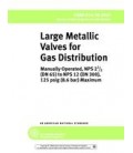 ASME B16.38-2007