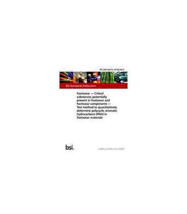 BS PD CEN ISO/TS 16190:2013