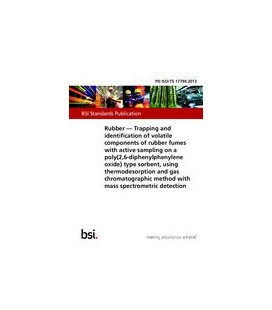 BS PD ISO/TS 17796:2013