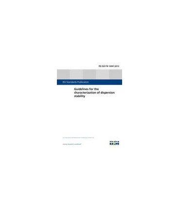 BS PD ISO/TR 13097:2013