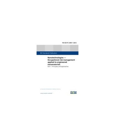 BS PD ISO/TS 12901-1:2012